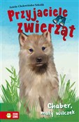 Przyjaciel... - Aniela Cholewińska-Szkolik - Ksiegarnia w UK