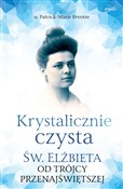 Polska książka : Krystalicz... - o. Patrick-Marie Févotte