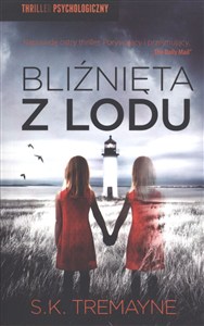 Obrazek Bliźnięta z lodu wyd. kieszonkowe