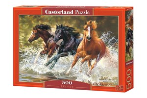 Obrazek Puzzle Splash 500 B-52585