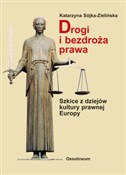 Zobacz : Drogi i be... - Katarzyna Sójka-Zielińska