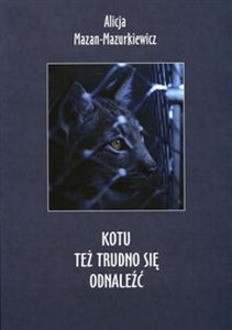 Picture of Kotu też trudno się odnaleźć