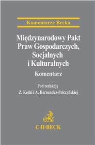Obrazek Międzynarodowy Pakt Praw Gospodarczych, Socjalnych i Kulturalnych. Komentarz