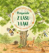 Polska książka : Przyjaciel... - Ilka Sokolowski