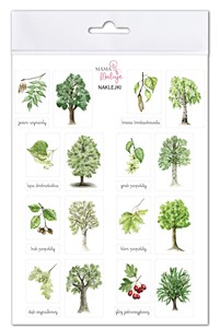 Obrazek Naklejki Drzewa 1