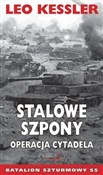 Stalowe sz... - Leo Kessler - Ksiegarnia w UK
