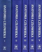 polish book : Anatomia c...