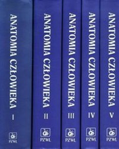 Obrazek Anatomia człowieka 1-5