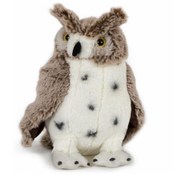 Polska książka : Sowa brązo...