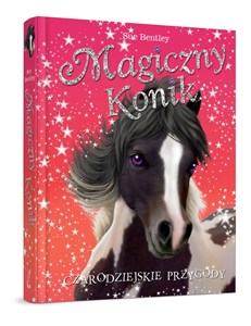 Obrazek Magiczny konik Czarodziejskie przygody