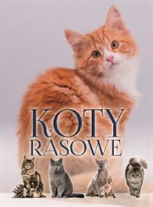 Obrazek Koty rasowe