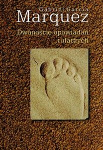 Obrazek Dwanaście opowiadań tułaczych