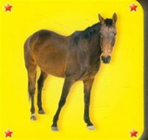 Obrazek Kosteczka Koń