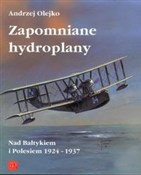 Zapomniane... - Andrzej Olejko -  foreign books in polish 