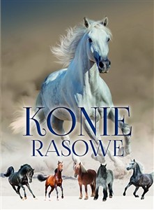 Obrazek Konie rasowe