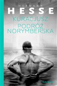 Książka : Kuracjusz ... - Hermann Hesse