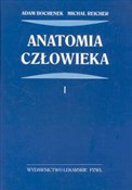 Anatomia c... - Adam Bochenek, Michał Reicher -  foreign books in polish 