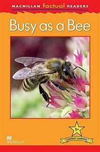 Picture of Factual: Busy as a Bee 1+
