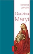 polish book : Godzina Ma... - Bertrand Lemaire
