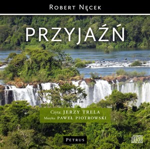 Obrazek [Audiobook] Przyjaźń