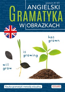Picture of Angielski Gramatyka w obrazkach