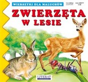 polish book : Zwierzęta ... - Joanna Paruszewska, Katarzyna Stocka
