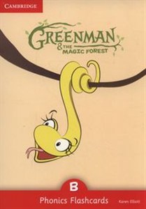 Obrazek Greenman and the Magic Forest B Phonics Flashcards