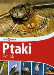 Picture of Piękna Polska Ptaki Polski