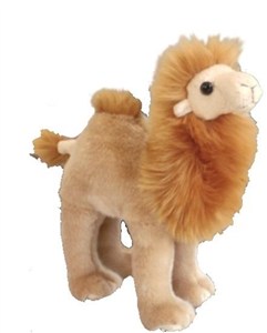 Obrazek Wielbłąd stojący