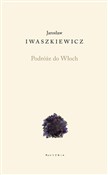 Podróże do... - Jarosław Iwaszkiewicz -  books from Poland