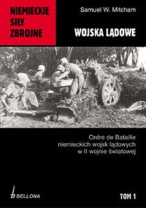 Obrazek Niemieckie siły zbrojne 1939-1945 Wojska lądowe