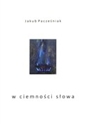 W ciemnośc... - Jakub Pacześniak -  foreign books in polish 