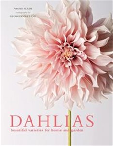 Obrazek Dahlias Beautiful Varieties for Home & Garden