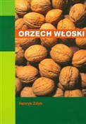 Orzech wło... - Henryk Zdyb - Ksiegarnia w UK
