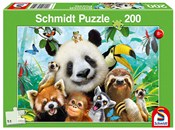 Puzzle 200... -  foreign books in polish 