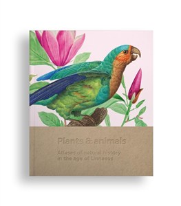 Obrazek Plants and animals