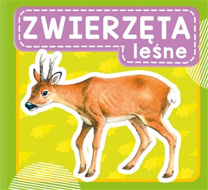 Obrazek Zwierzęta leśne