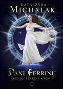 Polska książka : Pani Ferri... - Katarzyna Michalak