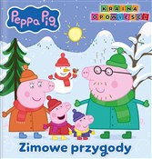 Książka : Zimowe prz... - Opracowanie zbiorowe