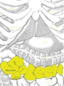 Książka : Spleen - Marta Szulc