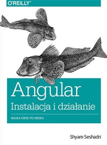 Obrazek Angular instalacja i działanie Nauka krok po kroku