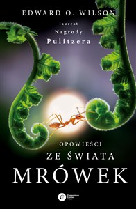 Obrazek Opowieści ze świata mrówek