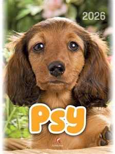 Obrazek Kalendarz 2026 wieloplanszowy B4 Psy
