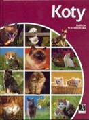 KOTY - IZABELA WIERZBOWSKA -  books from Poland