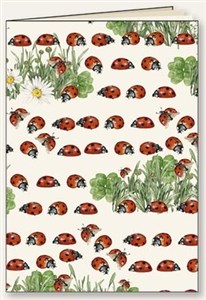 Obrazek Zeszyt ozdobny A5 48 k. linia Biedronki