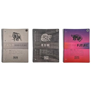 Picture of Brulion A4/100K kratka pastNOWfuture (5szt)