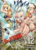 Zobacz : Dr Stone. ... - Boichi, Riichiro Inagaki