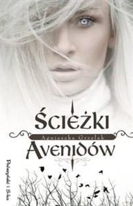 Obrazek Ścieżki Avenidów