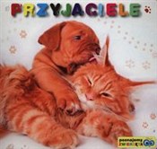 Zobacz : Poznajemy ...