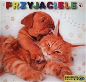 Obrazek Poznajemy zwierzęta Przyjaciele
